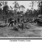 Cdn-Forestry-Corps-2